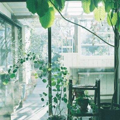 开元体育官网最新版