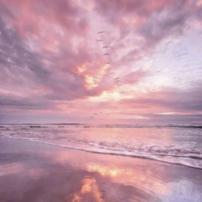 非凡体育APP下载app下载