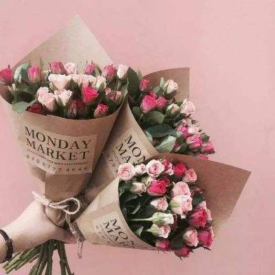 金星棋牌下载手机版