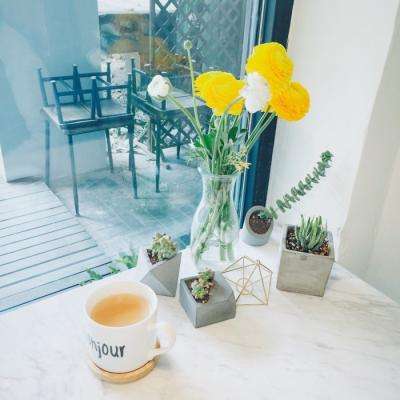 KOKapp下载手机版