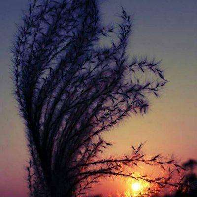 云开平台app最新版本入口截图